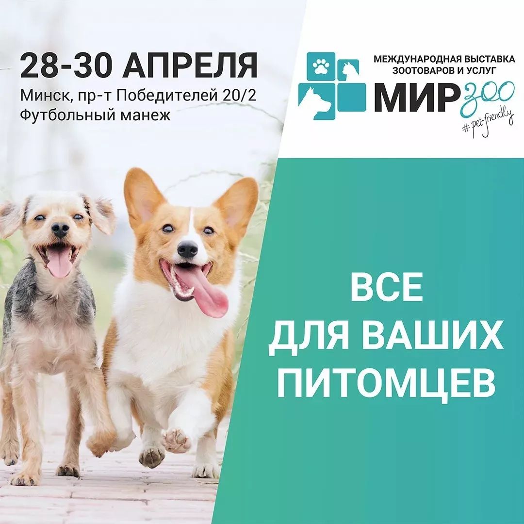 pet-friendly выставка МирЗоо Минск 