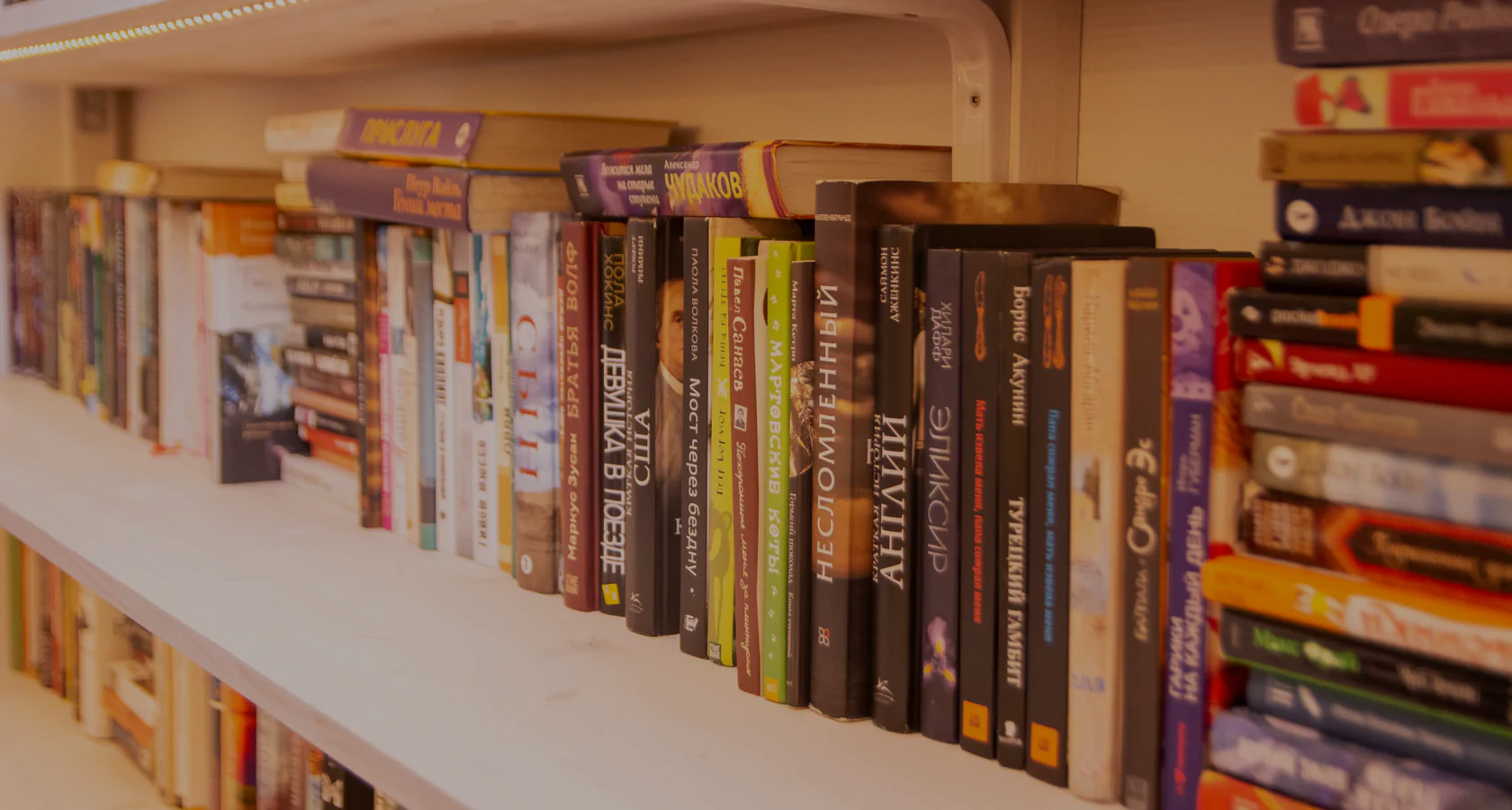 «Книжная нора» — книжный, библиотека, игровая и кофейня в одном месте