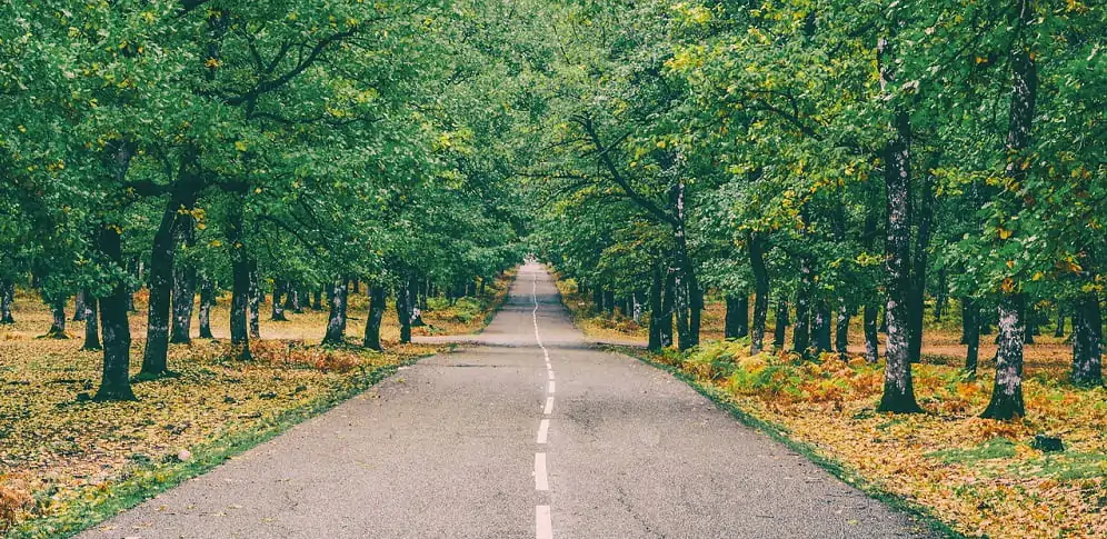 Куда поехать в Беларуси: 8 красивых мест, где стоит побывать этой осенью
