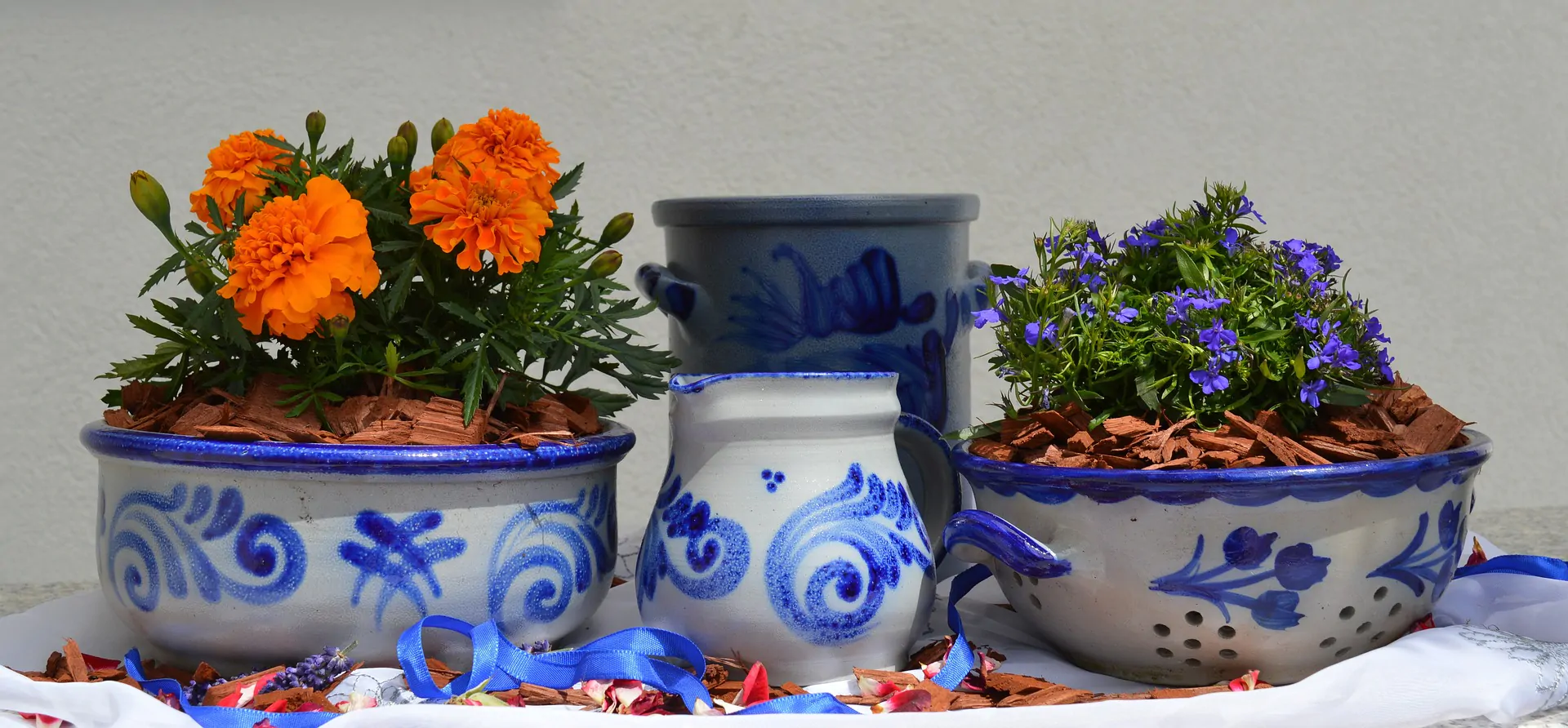 На этой неделе в ботаническом саду пройдут мастер-классы по росписи керамики