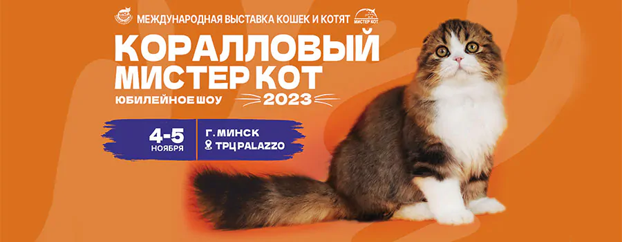 Международная выставка кошек и котят «Коралловый Мистер Кот – 2023»